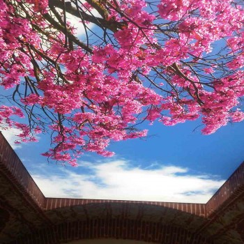 Gergi Tavan Sistemleri