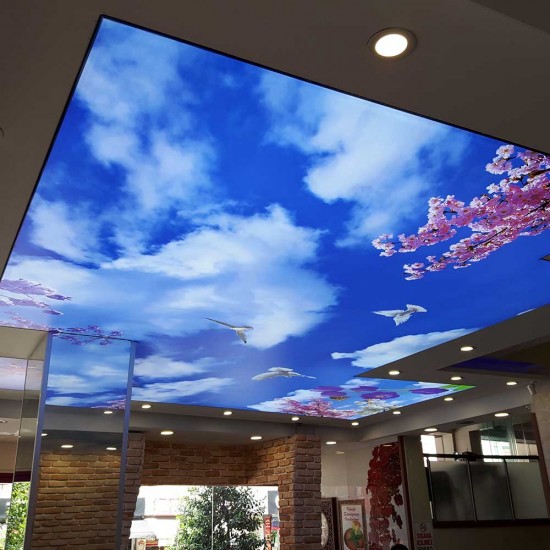 Gergi Tavan Sistemleri